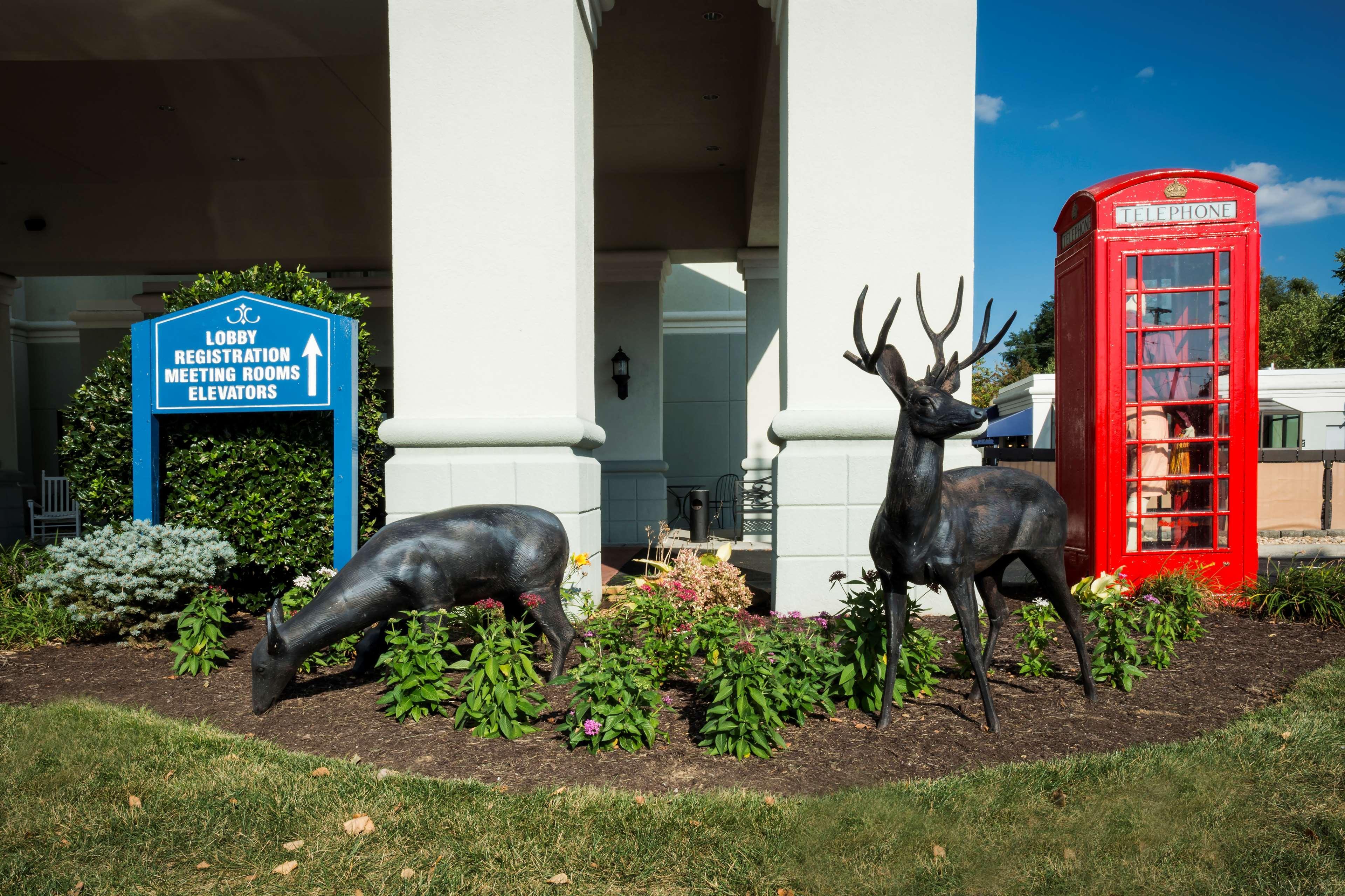 Hampton Inn Christiansburg/Blacksburg Экстерьер фото